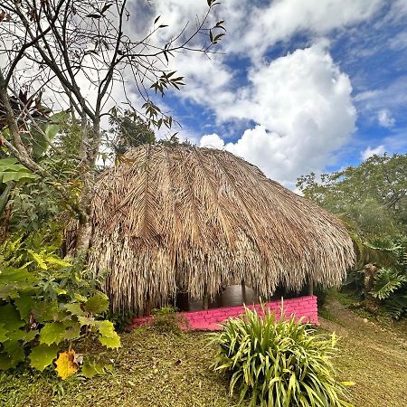 Villa Sierra Alta Finca Boutique Minca Exterior foto